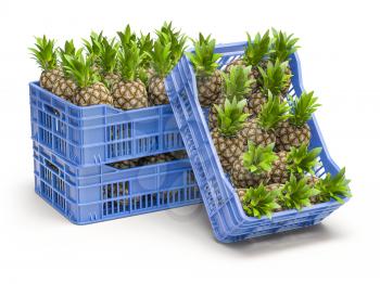 Pinapples in blue plastic crate isolated on white background. 3d illustration