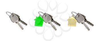 Set of two keys on a ring with house pendant isolated on white background. Selling, buying, renting a house, real estate agency concept. Graphic design element for poster, flyer. 3D illustration.