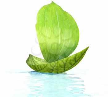 ship made of green leaves and floating on the water