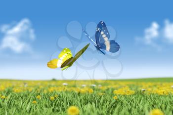 Two butterflies  on green grass field