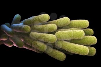 Legionella Pneumophila Bacteria. 3D illustration