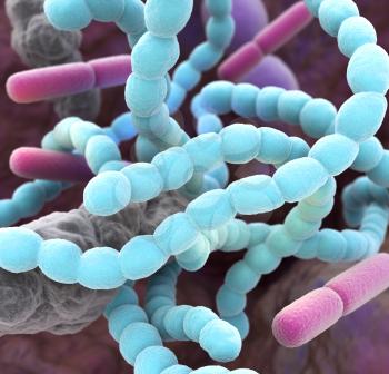 Close-up of bacteria found in the mouth which can cause halitosis or bad breath. 3D illustration