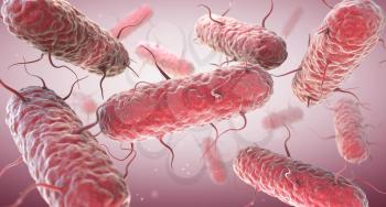 Enterobacteria. Enterobacteriaceae are a large family of Gram-negative bacteria. 3D illustration