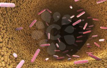 Bacteria in the intestine of digestive system. 3D illustration