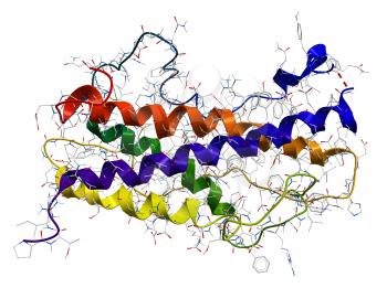 Human growth hormone somatotropin on a white background