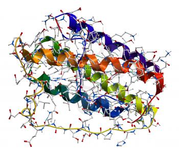 Leptin, the human obesity protein that regulate an appetite. 3D molecular structure