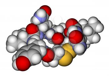 Oxytocin love hormone space filling molecular model