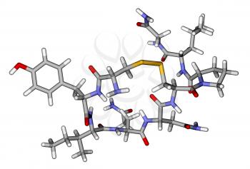 Oxytocin love hormone sticks molecular model