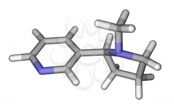 Optimized molecular structure of nicotine on a white background