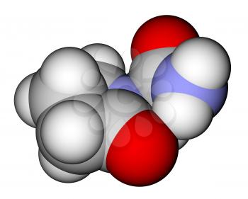 Piracetam (nootropic drug) 3D molecular structure