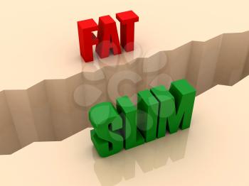 Two words FAT and SLIM split on sides, separation crack. Concept 3D illustration.