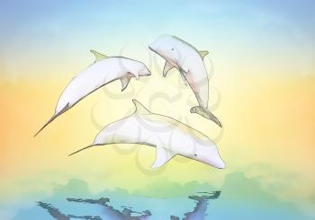 Cheerful game, the family of dolphins against a background of the sunset.