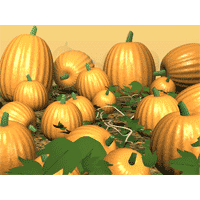 Pumpkins PowerPoint Background