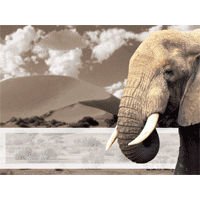 Elephant Sky slide with pachyderm