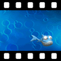 Sea Video