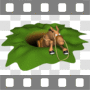 Donkey climbing out of hole in ground