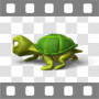 Turtle walking