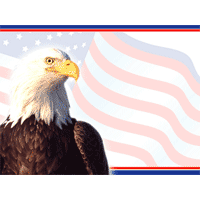 American eagle qx