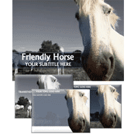 Friendly horse powerpoint template