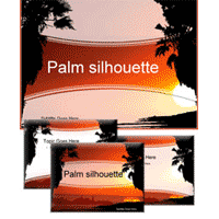 Palms silhouette