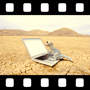 Lizard typing on laptop computer in desert