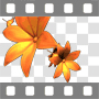 Scrolling orange flowers