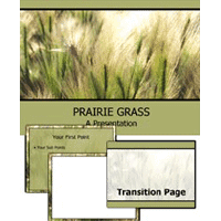 Prairie grass powerpoint template
