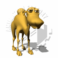 Camel Animation