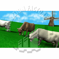 Cattle Animation