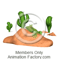 Desert Animation