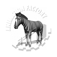 Equine Animation