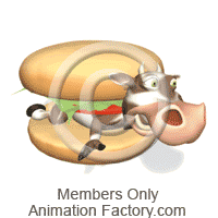 Cow trapped in hamburger bun