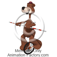 Brown bear riding unicycle