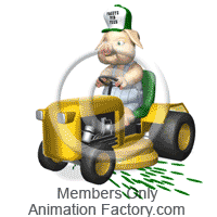 Pig in farmer outfit riding lawnmower