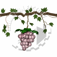 Grapes Animation