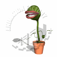 Plant Animation