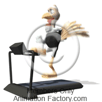 Turkey on treadmill too thin for Thanksgiving