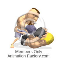 MMA fighters fighting