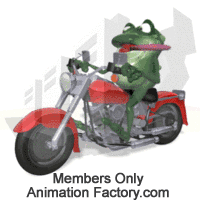 Toad riding motorcycle with tongue flapping