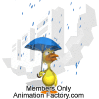 Duck holding umbrella in rain