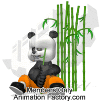 Karate panda eating bamboo