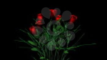 Royalty Free Video of Rotating Long Stem Red Roses